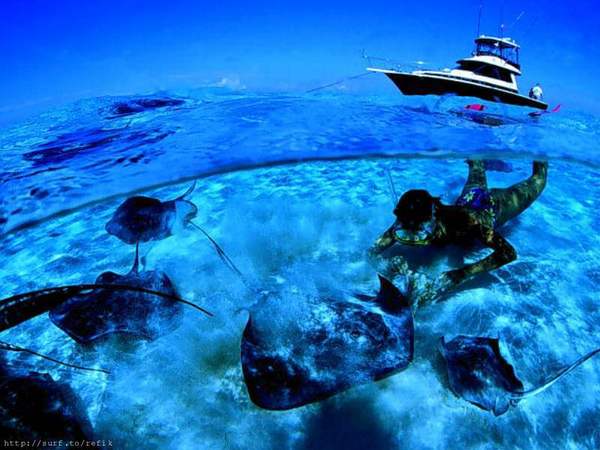 plongee sous-marine Tahiti